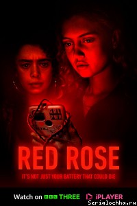 Постер сериала Красная роза