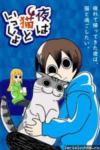 Постер аниме Вечера с кошкой