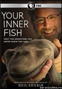 Постер сериала Внутренняя рыба